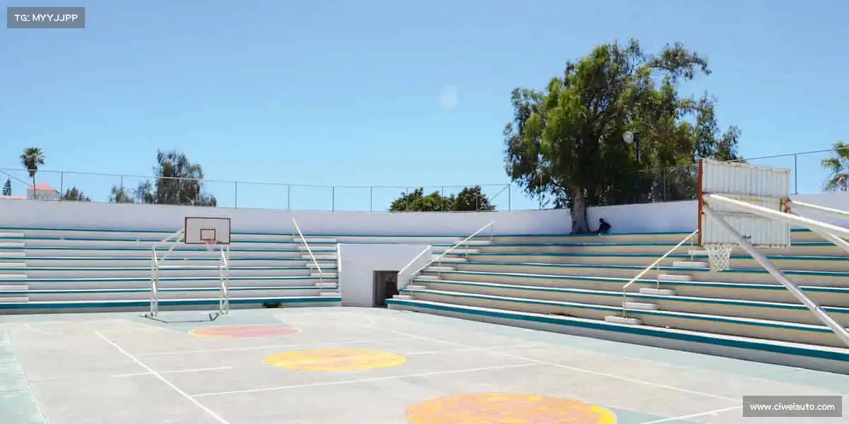 竞技宝🏃♂️运动不止步,每一步都是超越自我的开始!